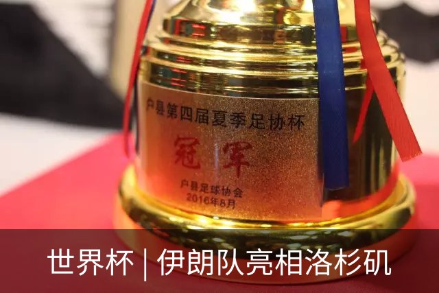 世界杯 | 伊朗队亮相洛杉矶